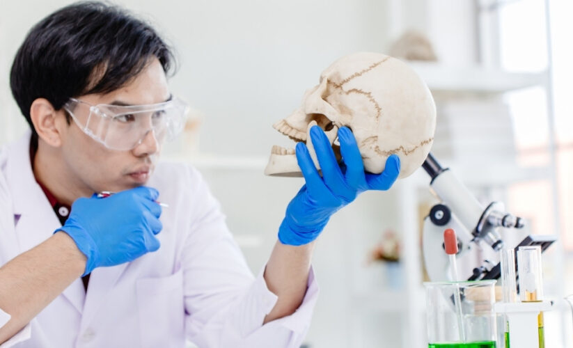 Exploring the B.Sc. in Nutrigenetics and Personalized Nutrition Course